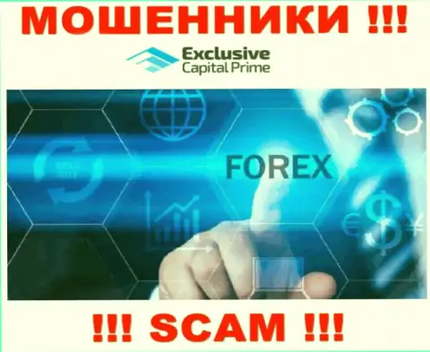 FOREX - это сфера деятельности противозаконно действующей организации Эксклюзив Капитал