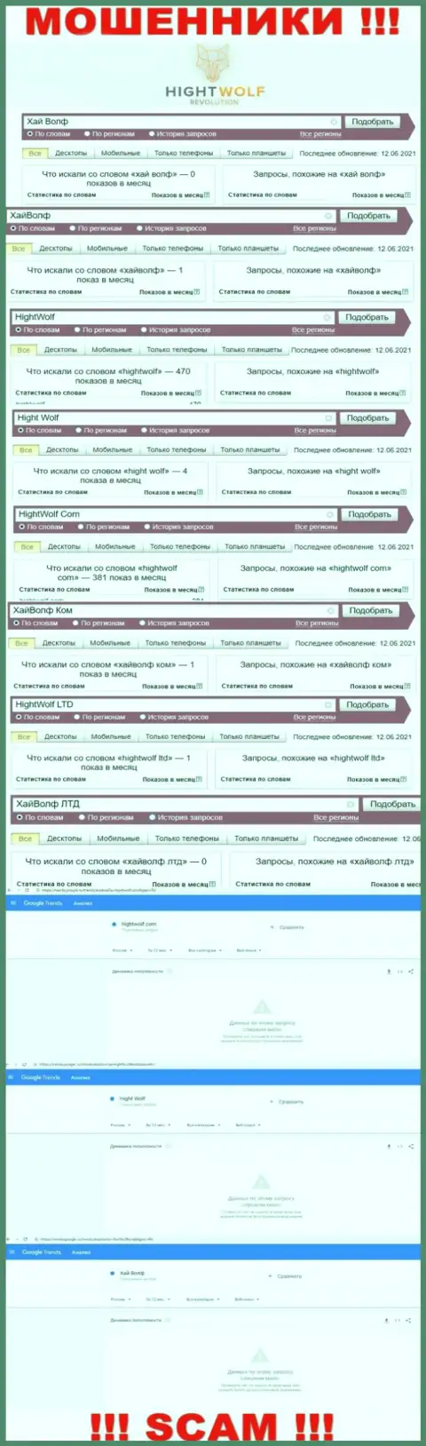 Статистика по брендовым онлайн запросам по обманщикам Хайгхт Волф во всемирной интернет паутине