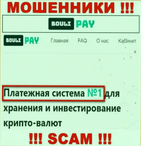 Основная работа Bouli Pay - это Платежная система, будьте осторожны, действуют преступно