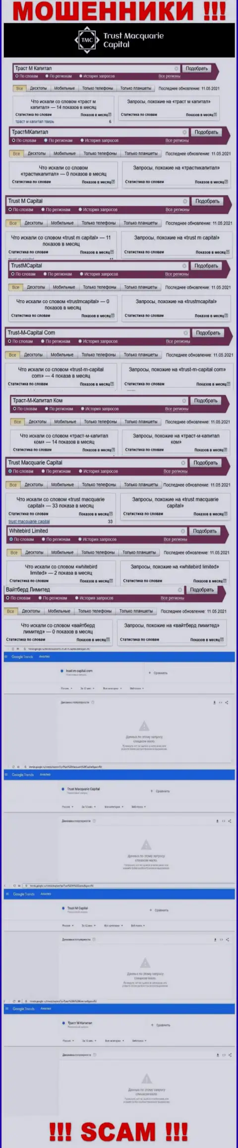 Статистика поиска инфы о интернет-мошенниках Whitebird Limited