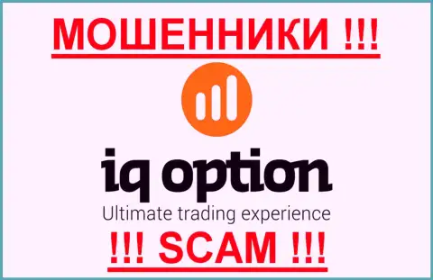 IQ Option - МОШЕННИКИ !!! SCAM !!!