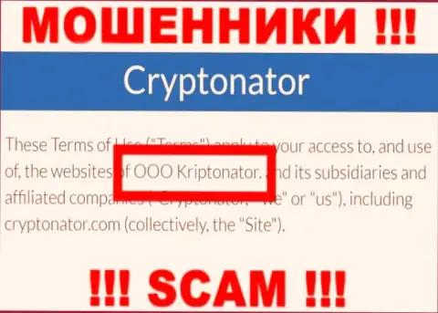 Организация Cryptonator Com находится под управлением компании OOO Криптонатор