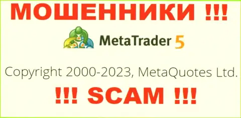 Юридическим лицом Мета Куотс Лтд считается - MetaQuotes Ltd