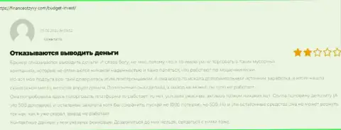 Надёжность организации Budget Invest вызывает сомнения у интернет сообщества