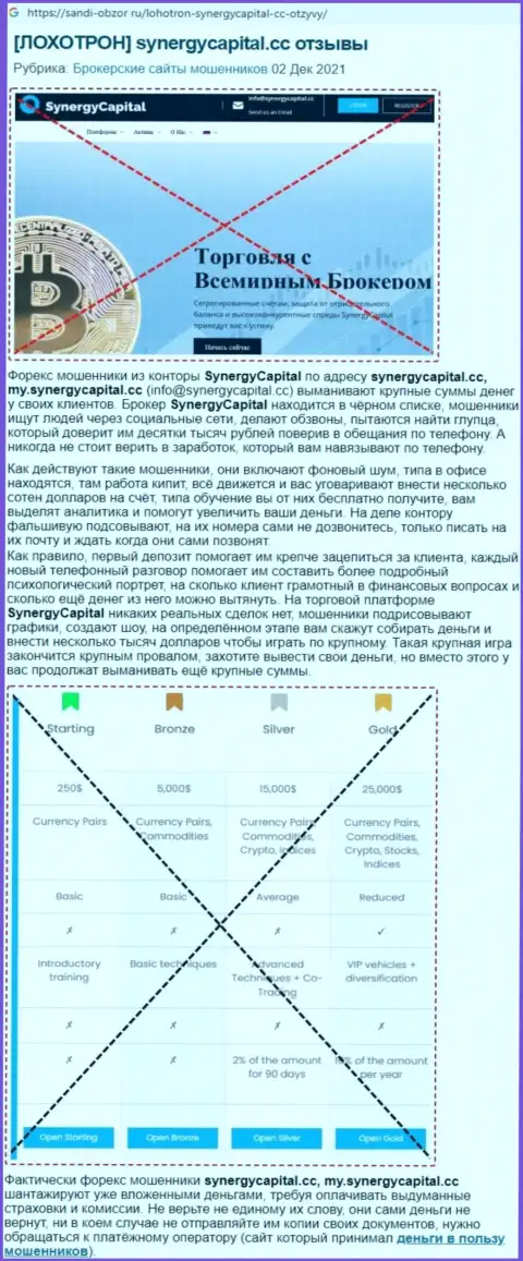 Обзор Synergy Capital с разбором всех признаков мошенничества